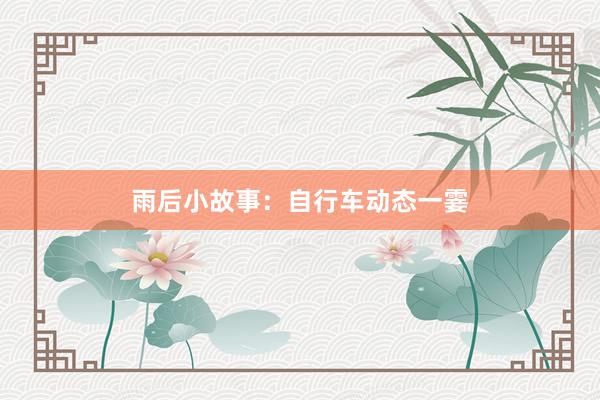 雨后小故事:自行车动态一霎